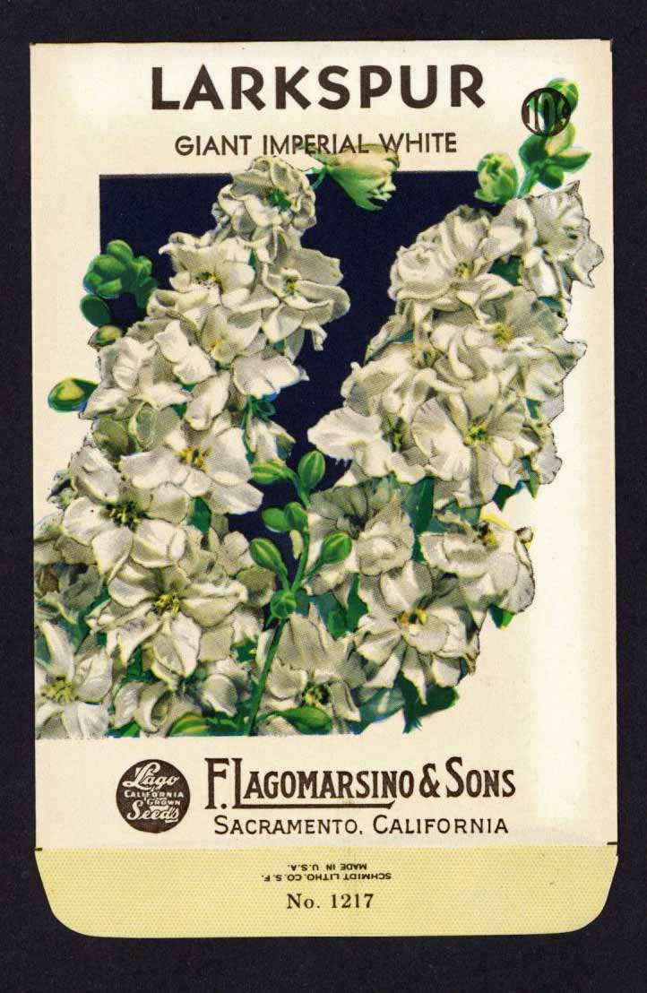 Larkspur Vintage Lagomarsino Seed Packet, White