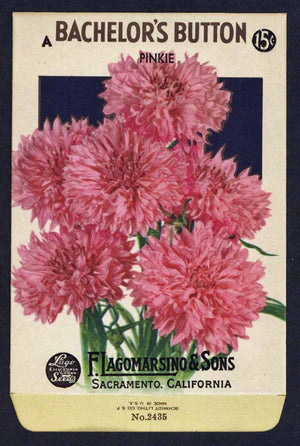 Bachelor's Button Vintage Lagomarsino Seed Packet