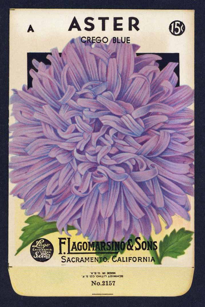 Aster Vintage Lagomarsino Seed Packet, Crego Blue