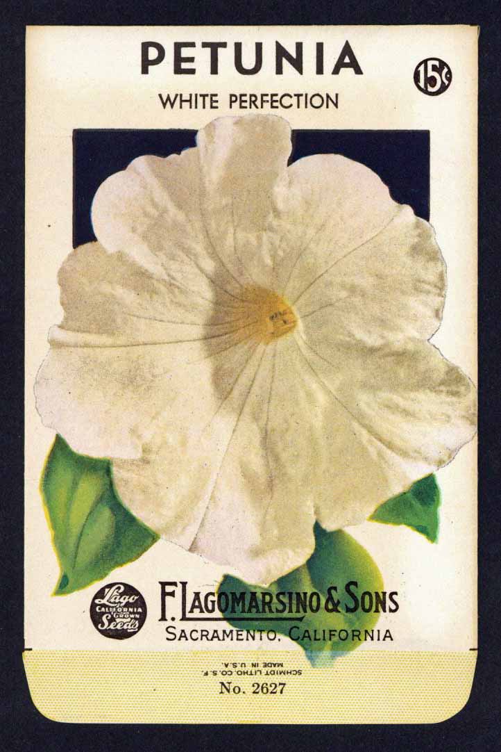 Petunia Vintage Lagomarsino Seed Packet, White Perfection