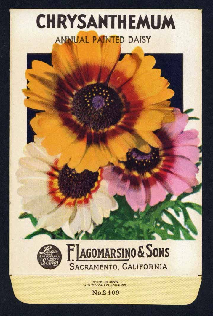 Chrysanthemum Vintage Lagomarsino Seed Packet