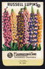 Russell Lupins Vintage Lagomarsino Seed Packet