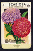 Scabiosa Vintage Lagomarsino Seed Packet