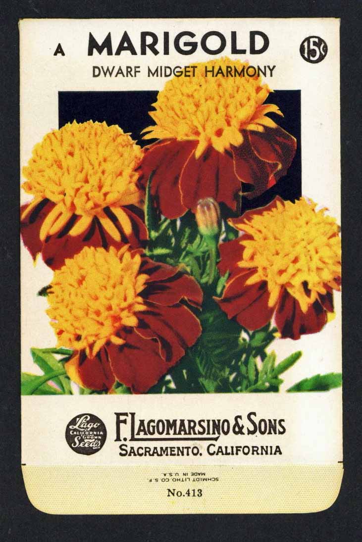 Marigold Vintage Lagomarsino Seed Packet, Dwarf