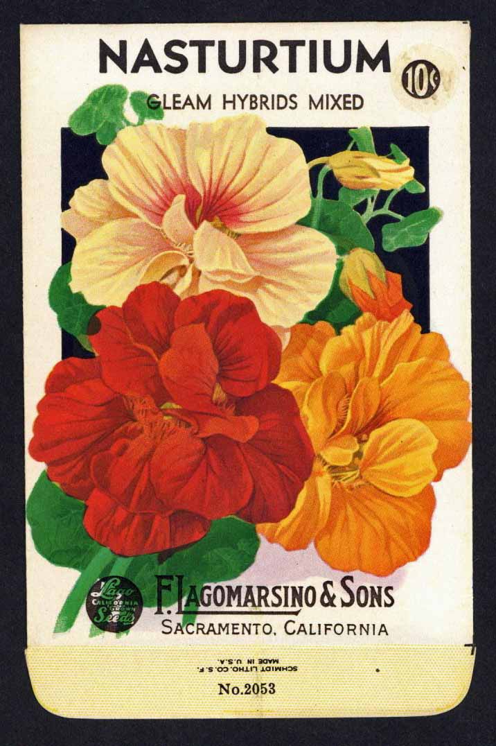 Nasturtium Vintage Lagomarsino Seed Packet