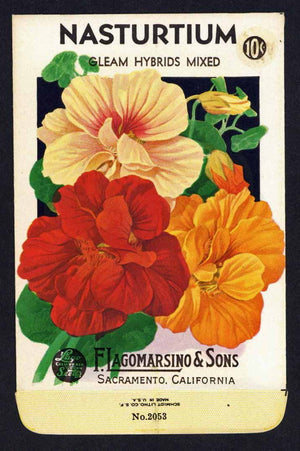 Nasturtium Vintage Lagomarsino Seed Packet