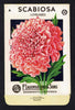 Scabiosa Vintage Lagomarsino Seed Packet, Loveliness