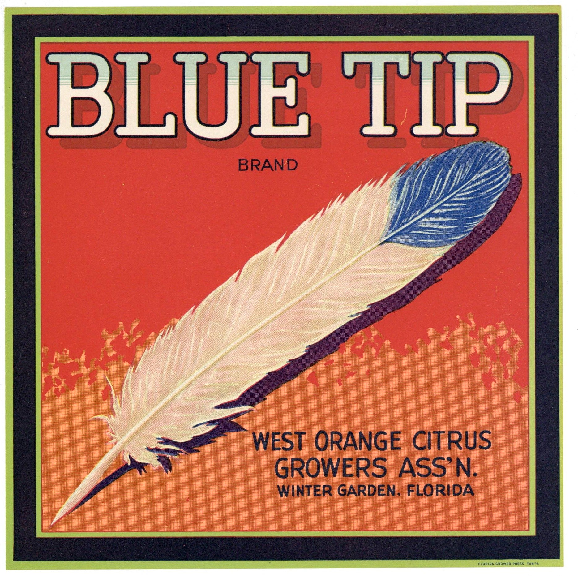 Blue Tip Brand Vintage Winter Garden Florida Citrus Crate Label, red