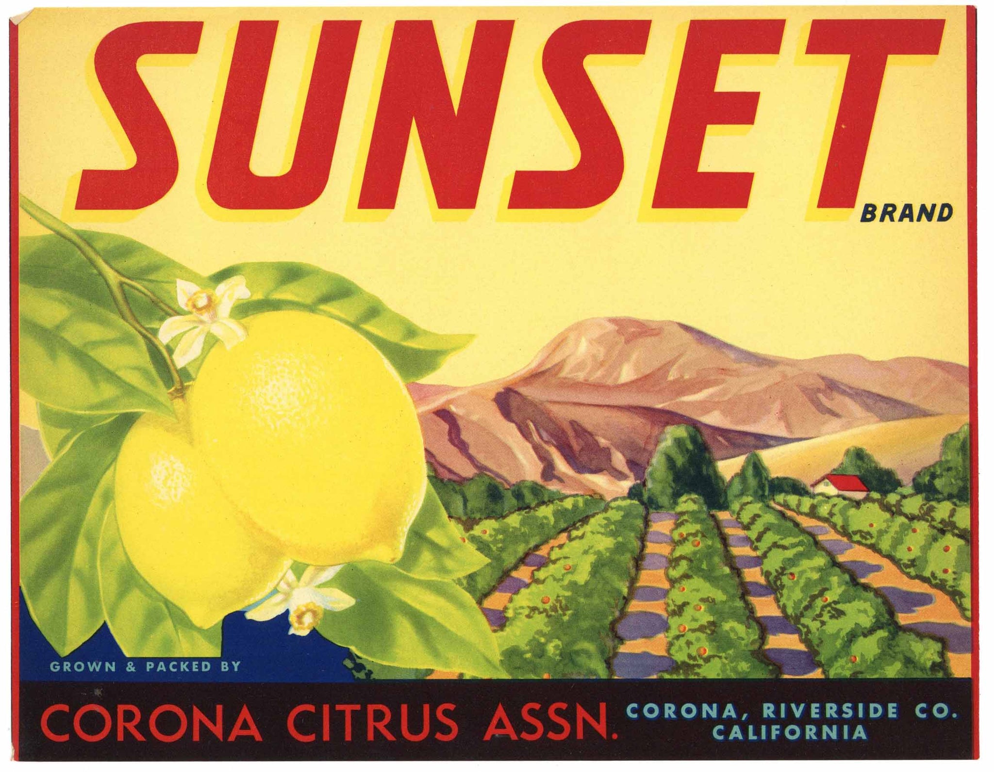 Sunset Brand Vintage Corona Lemon Crate Label