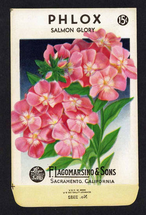 Phlox Vintage Lagomarsino Seed Packet, Salmon Glory