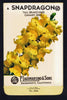 Snapdragon Vintage Lagomarsino Seed Packet, Canary Bird