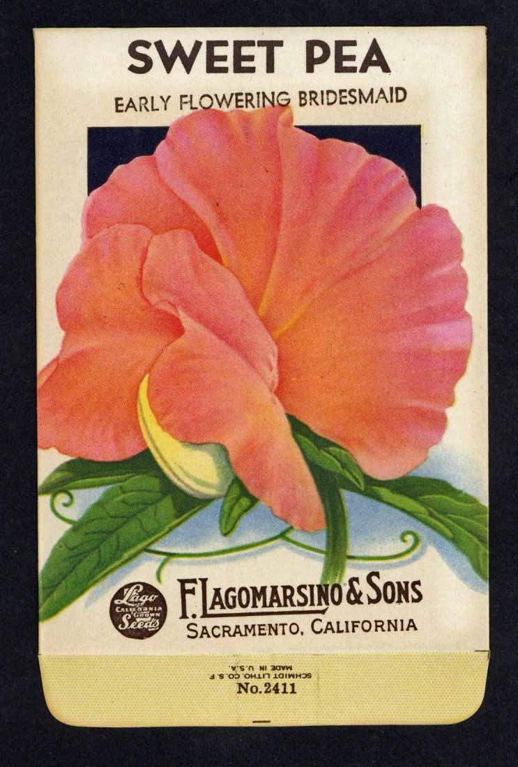 Sweet Pea Vintage Lagomarsino Seed Packet, Early Flowering Bridesmaid