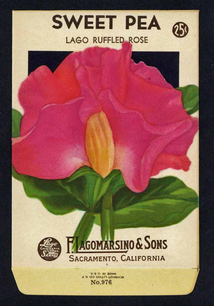 Sweet Pea Vintage Lagomarsino Seed Packet, Lago Ruffled Rose