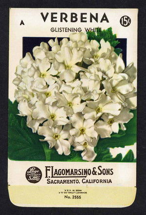 Verbenia Vintage Lagomarsino Seed Packet, Glistening White