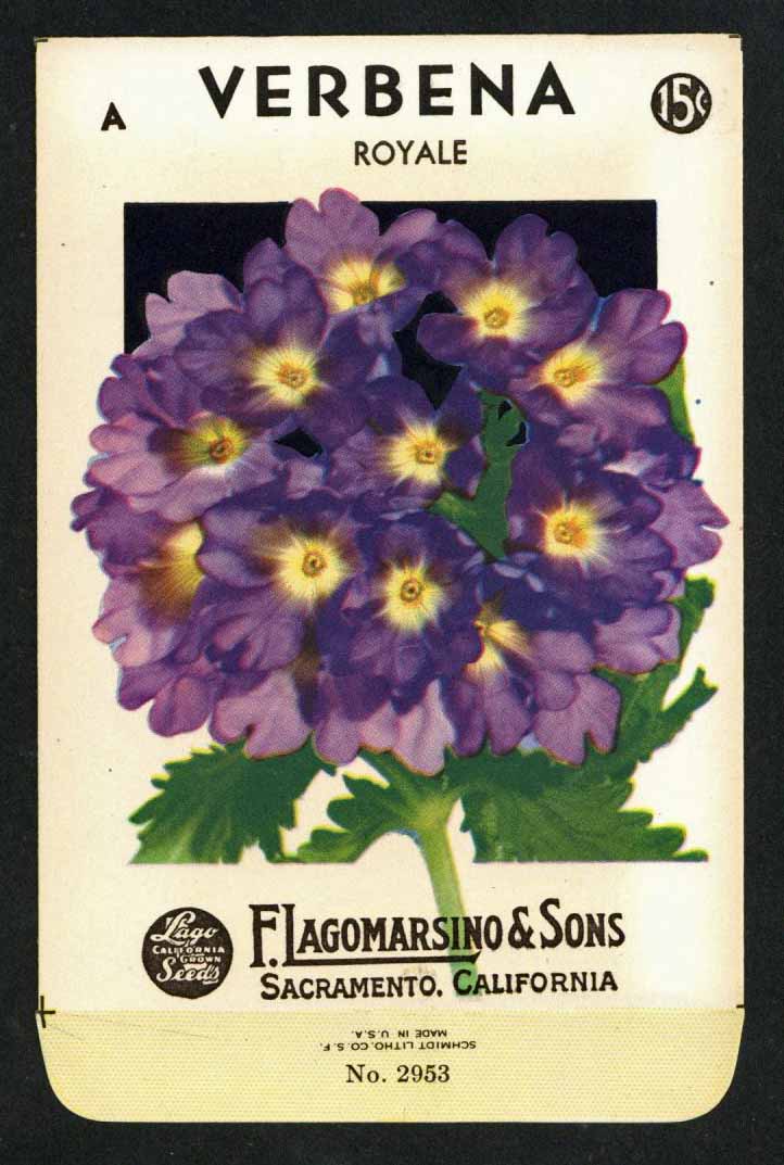 Verbenia Vintage Lagomarsino Seed Packet, Royale