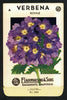 Verbenia Vintage Lagomarsino Seed Packet, Royale