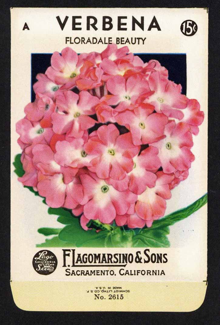 Verbenia Vintage Lagomarsino Seed Packet, Floradale Beauty