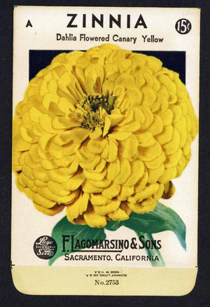 Zinnia Vintage Lagomarsino Seed Packet, Canary Yellow