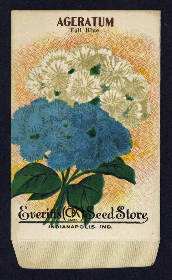 Ageratum Antique Everitt's Seed Store Seed Packet