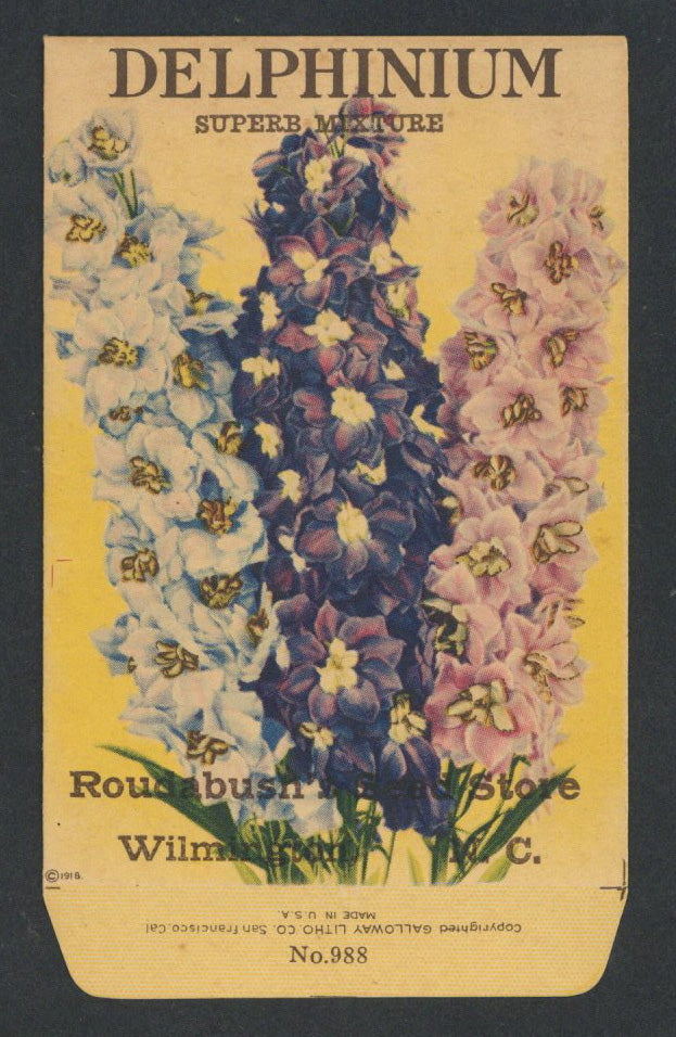 Delphinium Antique Seed Packet Roudabush's Seed Store – thelabelman