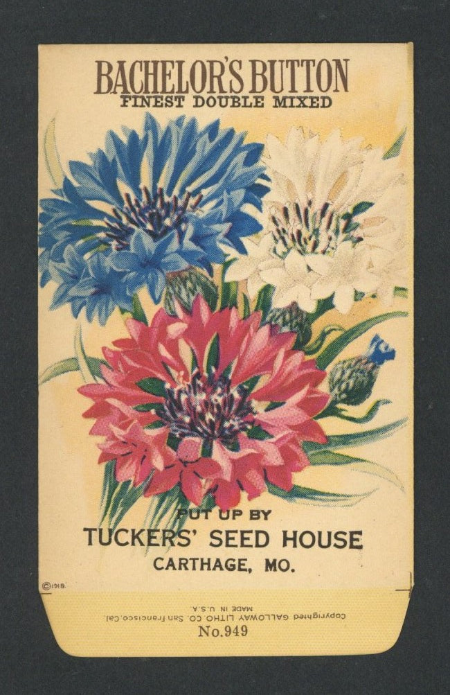 Bachelor's Button Antique Seed Packet Tuckers Seed House