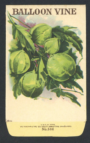 Balloon Vine Antique Stock Seed Packet