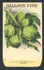 Balloon Vine Antique Stock Seed Packet