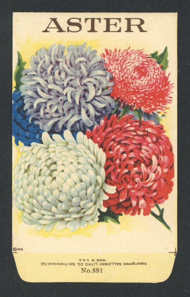 Aster Antique Stock Seed Packet