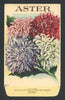 Aster Antique Stock Seed Packet