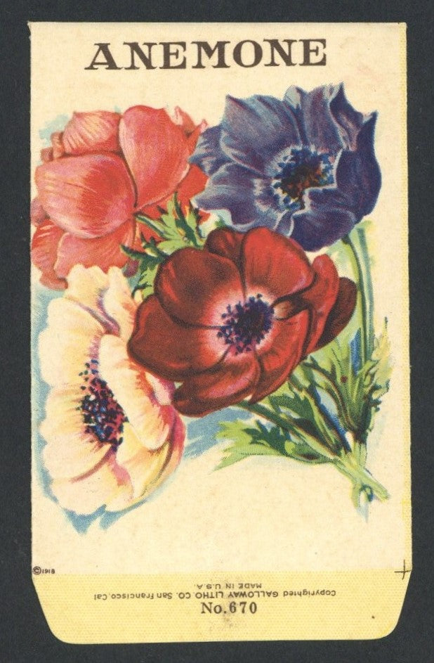 Anemone Antique Stock Seed Packet