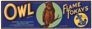 Owl Brand Vintage Ampere California Tokay Grape Crate Label