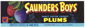 Saunders Boys Brand Vintage Yuba City California Plum Crate Label