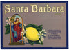 Santa Barbara Brand Vintage California Lemon Crate Label, grey
