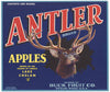 Antler Brand Vintage Chelan Washington Apple Crate Label, blue border
