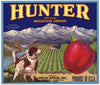 Hunter Brand Vintage Wenatchee Washington Apple Crate Label, blue