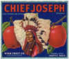 Chief Joseph Brand Vintage Seattle Washington Apple Crate Label, early