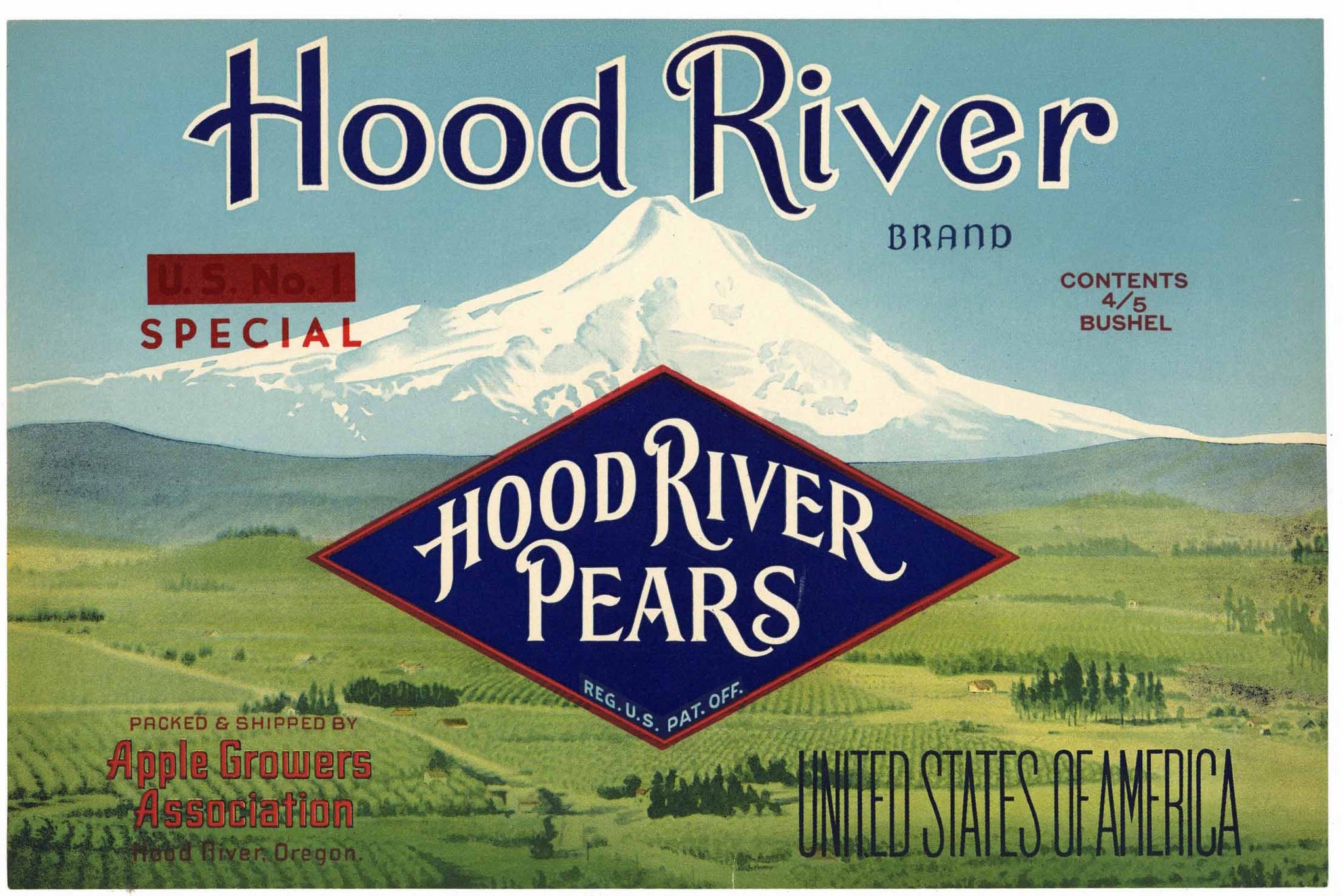 Hood River Brand Vintage Oregon Pear Crate Label, Mt Hood