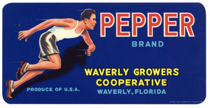 Pepper Brand Vintage Waverly Florida Citrus Crate Label, strip
