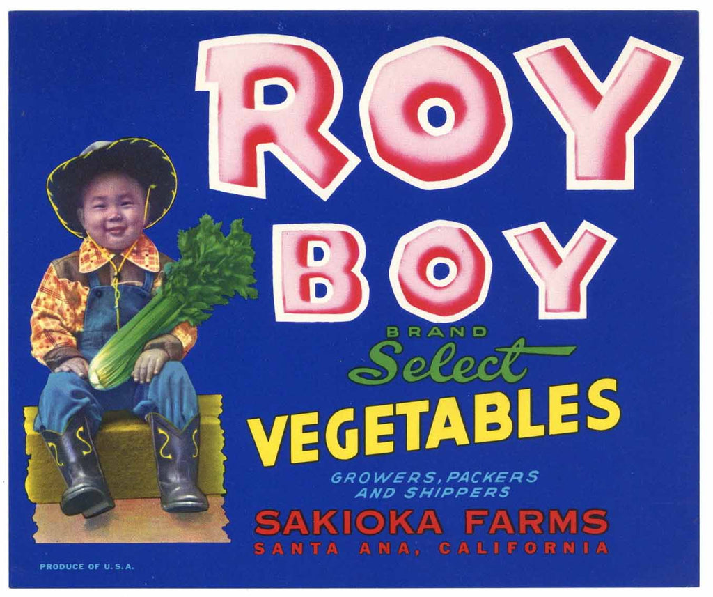 Roy Boy Brand Vintage Santa Ana California Vegetable Crate Label