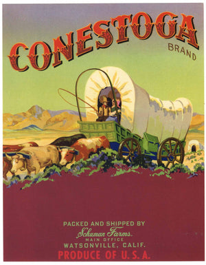 Conestoga Brand Vintage Watsonville Vegetable Crate Label, blank