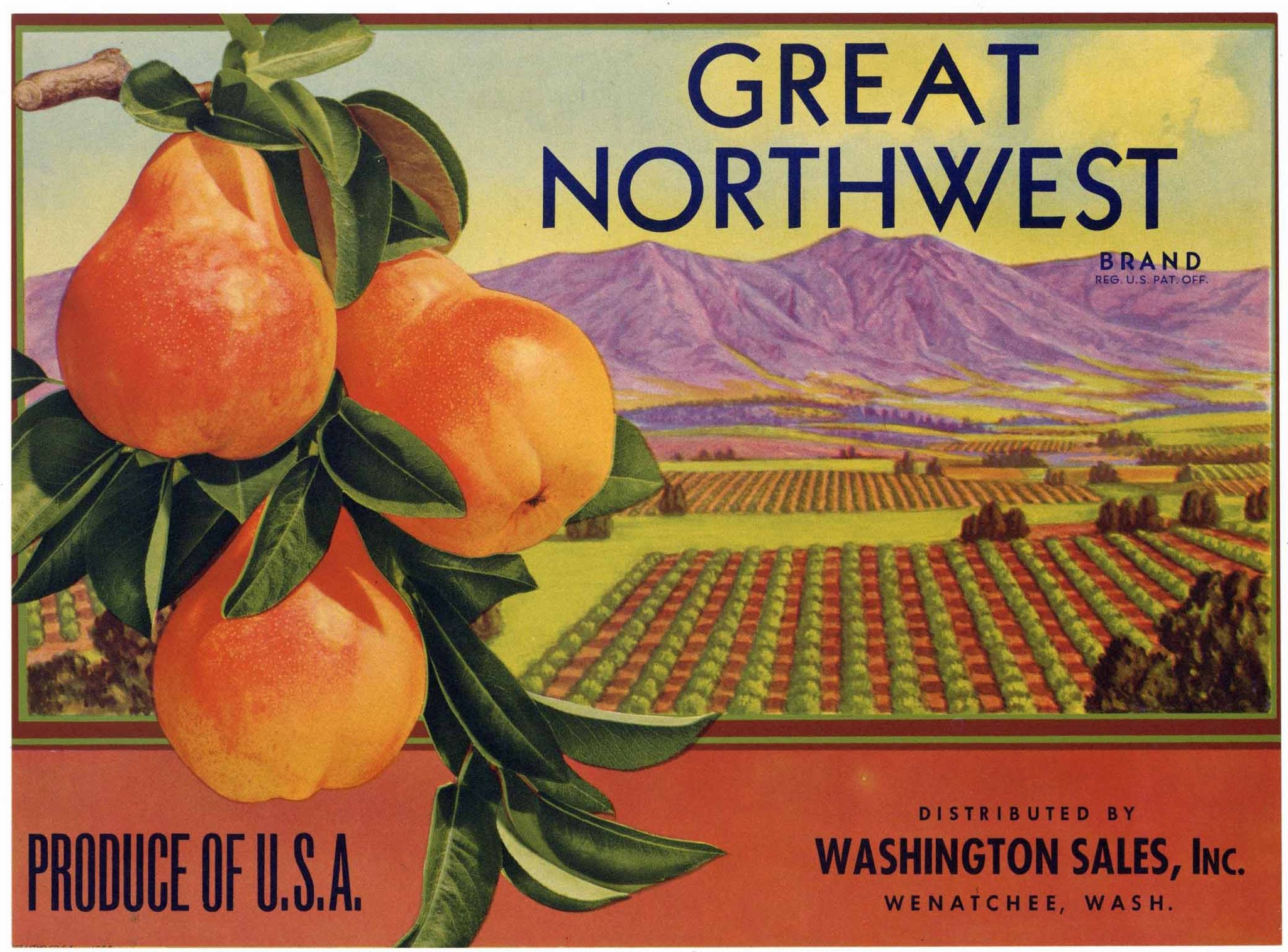 Great Northwest Brand Vintage Wenatchee Washington Pear Crate Label