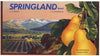 Springland Brand Vintage Cashmere Washington Pear Crate Label