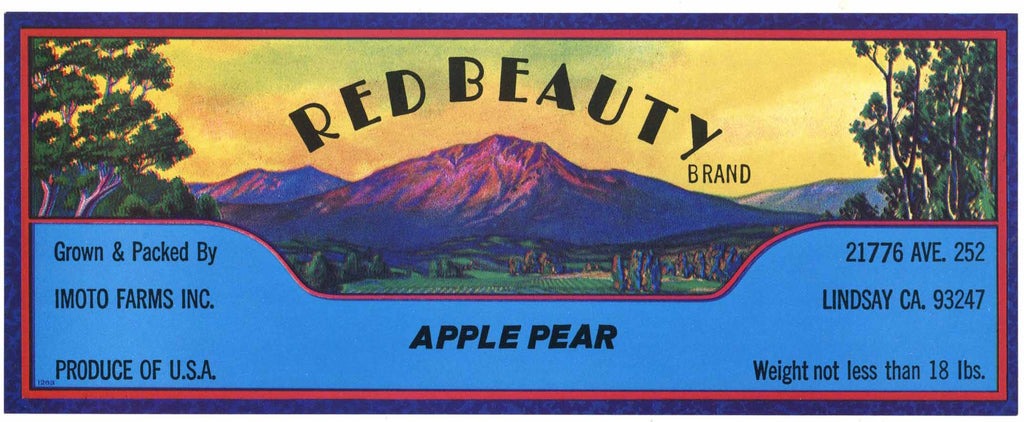 Red Beauty Brand Vintage Lindsay California Produce Crate Label