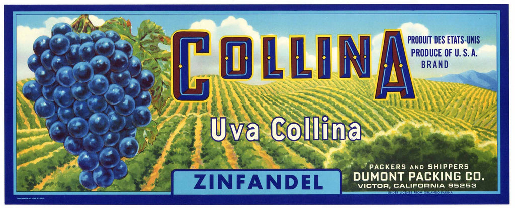 Collina Brand Vintage Wine Grape Crate Label, Zinfandel