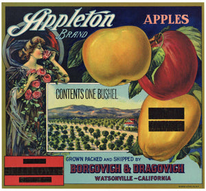 Appleton Brand Vintage Watsonville Apple Crate Label, blackout