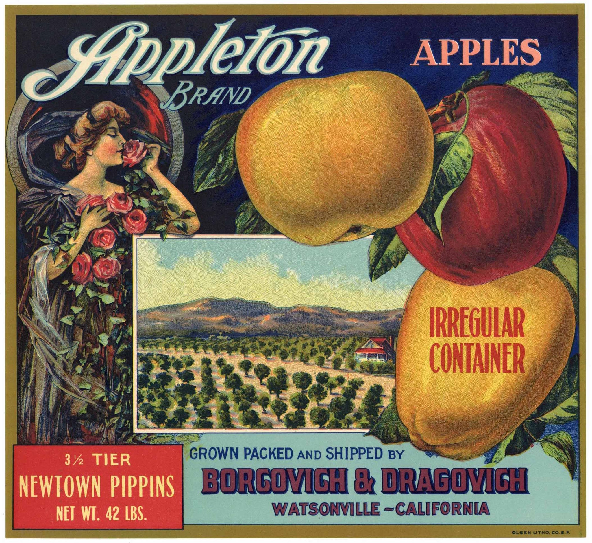 Appleton Brand Vintage Watsonville Apple Crate Label, op, 3 1/2 tier on lower left