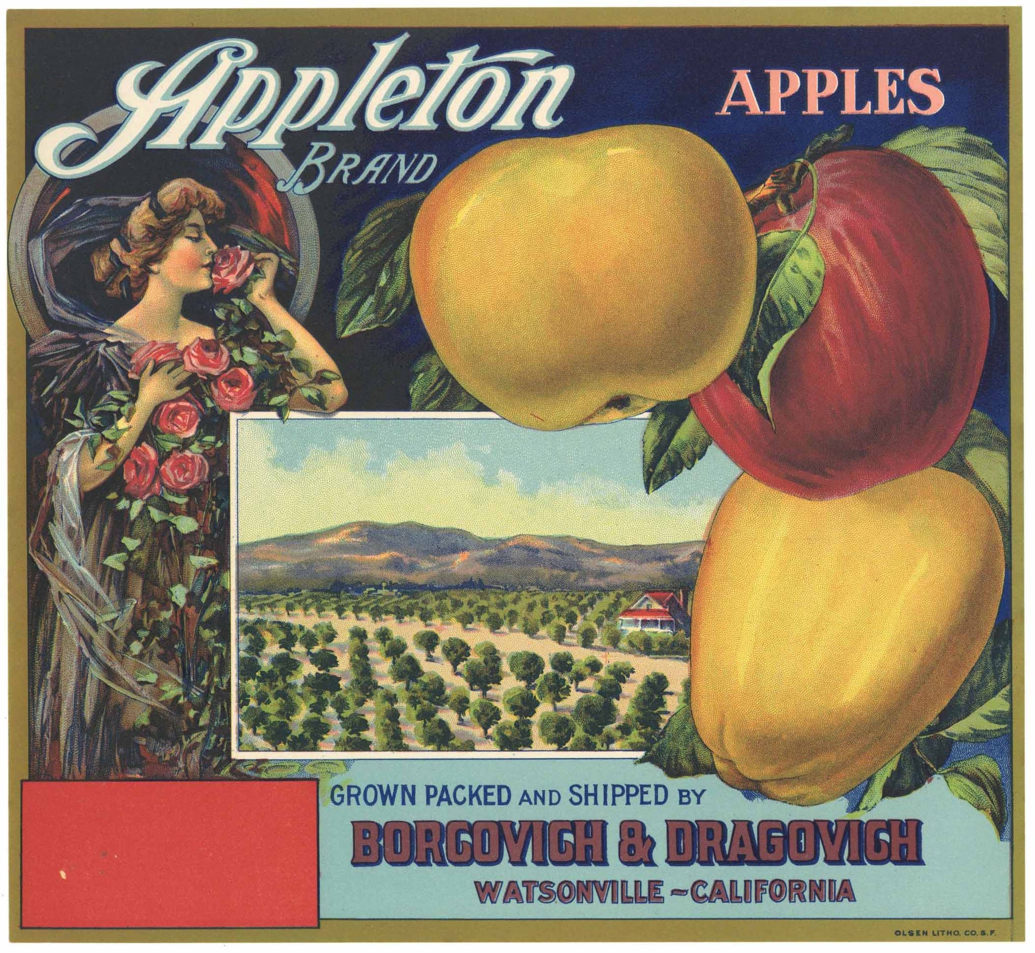 Appleton Brand Vintage Watsonville Apple Crate Label, blank box on lower left
