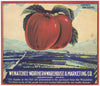 Wenatchee-Northern Warehouse Brand Vintage Washington Apple Crate Label