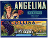 A Collection of 25 Different Grape Crate Labels
