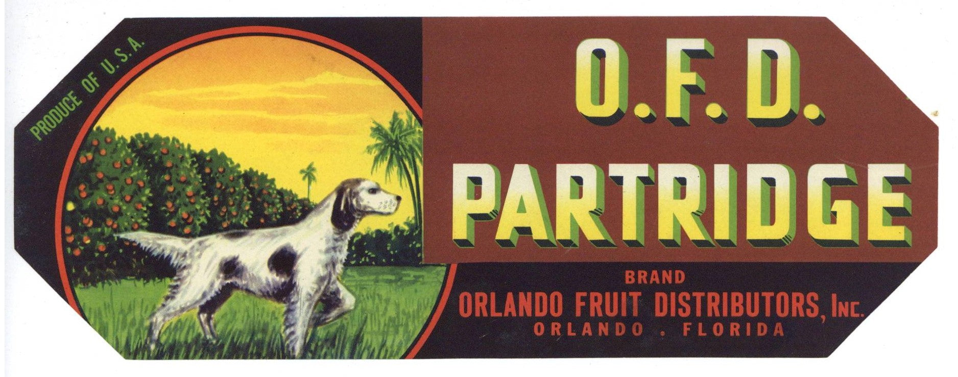 O.F.D. Partridge Brand Vintage Orlando Florida Citrus Crate Label